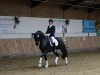 dressage horse Sabatier MN (Oldenburg, 2012, from Sandro Hit)