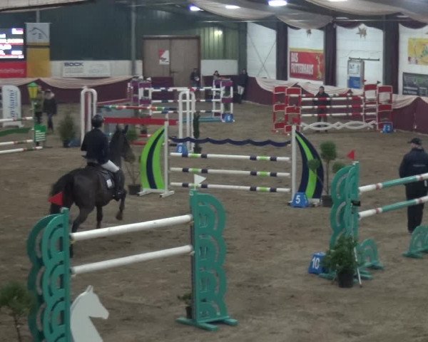 Reitturnier Eppelheim 2019