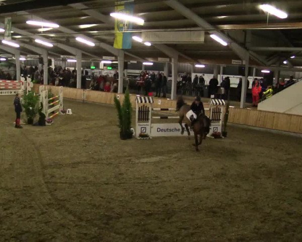 Reitturnier Vreden 2019