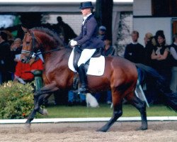 stallion Fornsbacher (Rhinelander, 1999, from Fidermark)