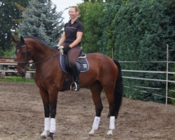 dressage horse Belissa (Oldenburg, 2009, from Belissimo NRW)