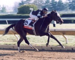 broodmare Take Charge Lady xx (Thoroughbred, 1999, from Dehere xx)