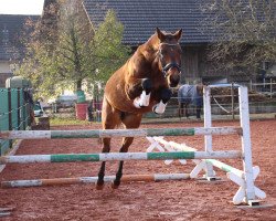 jumper Liquid's Boy (Bavarian, 2009, from Liquid)