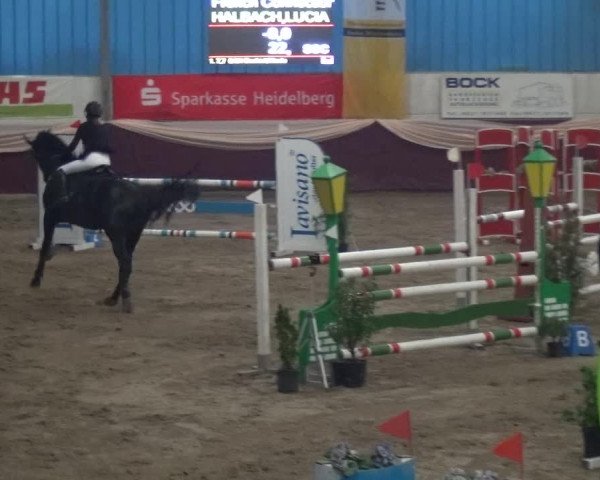 Reitturnier Eppelheim 2019