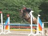 jumper Rubbeldiekatz 2 (Oldenburg show jumper, 2009, from Carrico)