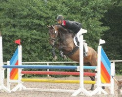 jumper Rubbeldiekatz 2 (Oldenburg show jumper, 2009, from Carrico)