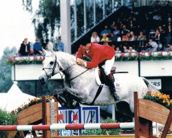 horse Waldo E (KWPN (Royal Dutch Sporthorse), 1980, from Koopman)