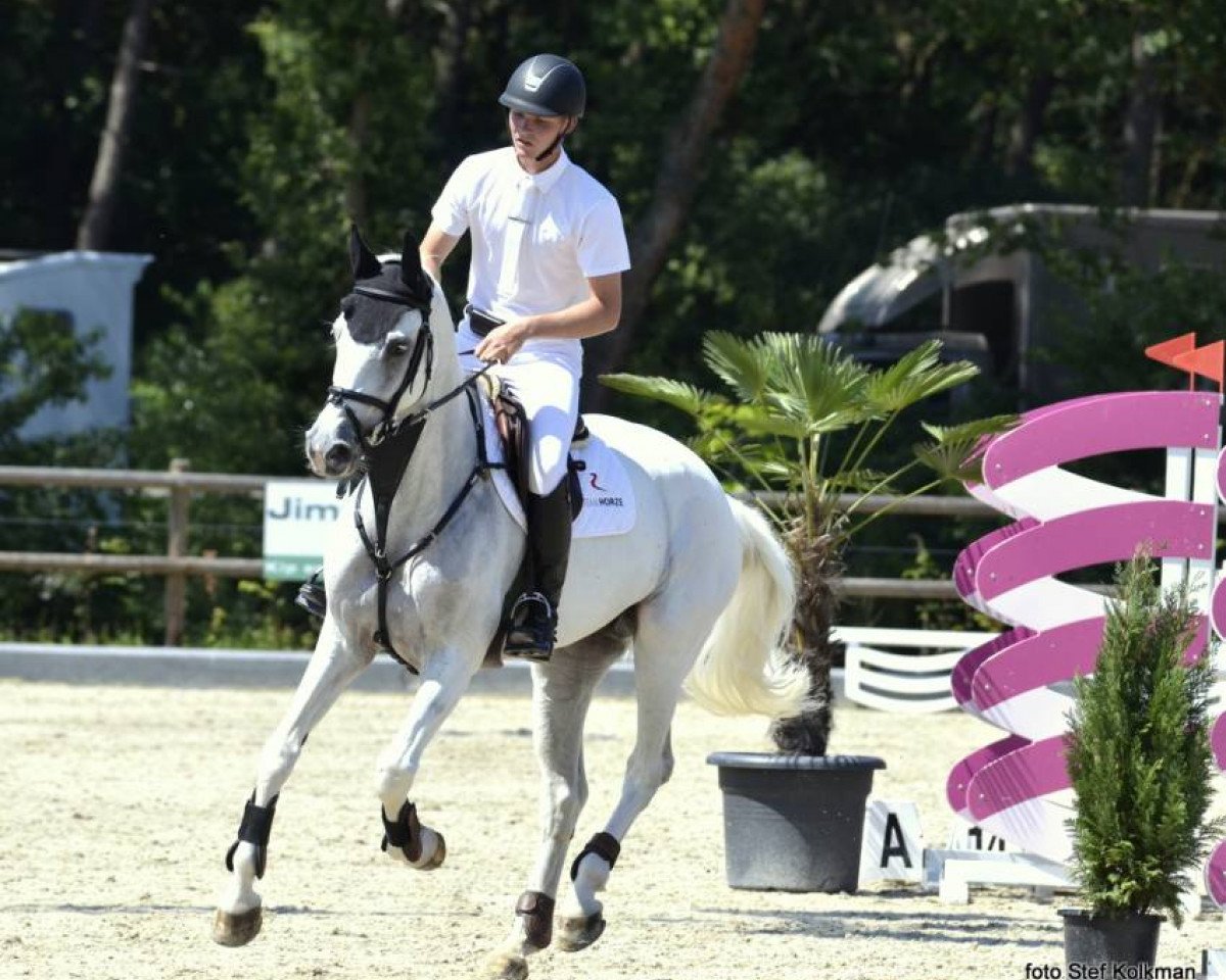 jumper Cloudy Night (KWPN (Royal Dutch Sporthorse), 2003, from Casco 4)