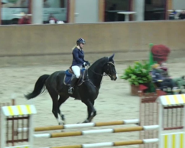 Reitturnier Prussendorf 2019