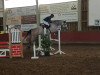 jumper Captain Morgan 32 (Oldenburg show jumper, 2012, from Caspar (Berlin))