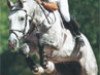 Zuchtstute Girondelle La Silla (Koninklijk Warmbloed Paardenstamboek Nederland (KWPN), 1992, von Grannus)