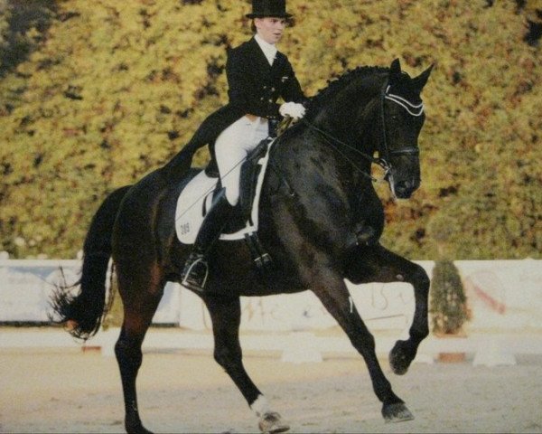 dressage horse D'Artagnon (Oldenburg, 1994, from Donnerschlag)