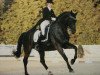 dressage horse D'Artagnon (Oldenburg, 1994, from Donnerschlag)