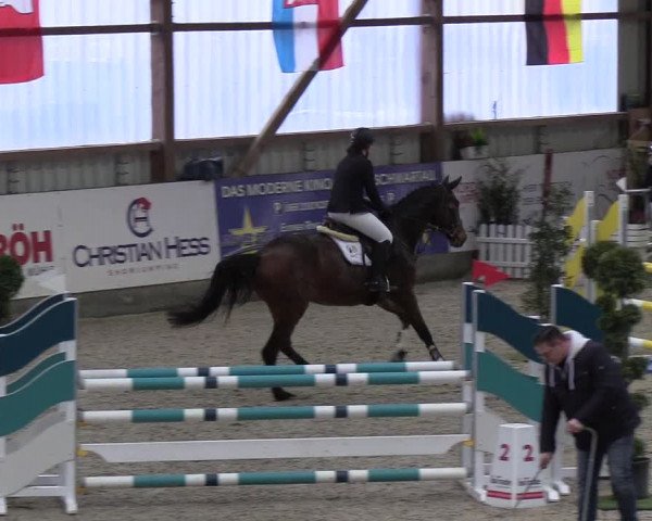 Nordic Jumping events 2019