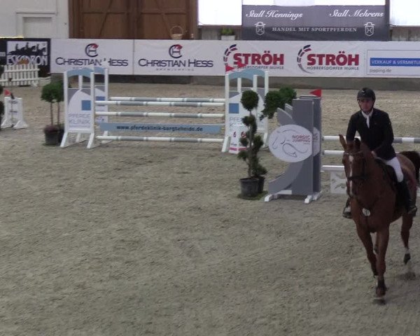 Nordic Jumping events 2019