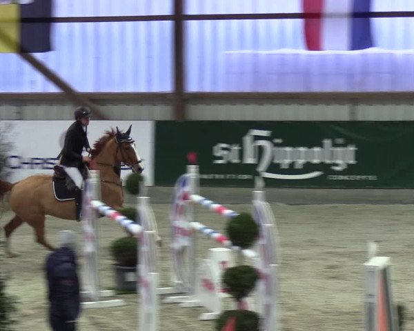 Nordic Jumping events 2019