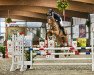 jumper Oh Bella Wow (Hanoverian, 2016, from Couleur Rubin)