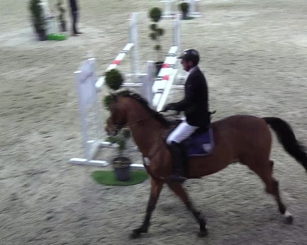Nordic Jumping events 2019