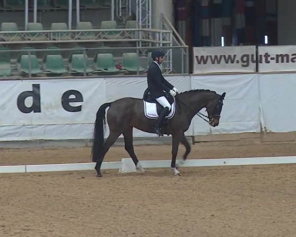 Reitturnier Kreuth 2019