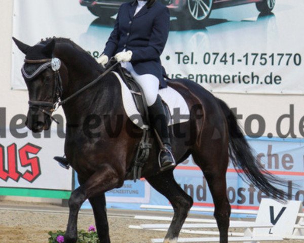dressage horse Dendera (Hanoverian, 2009, from Desperados FRH)