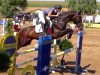 jumper Chicadee (Hanoverian, 2007, from Converter I)