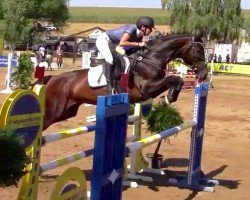 jumper Chicadee (Hanoverian, 2007, from Converter I)