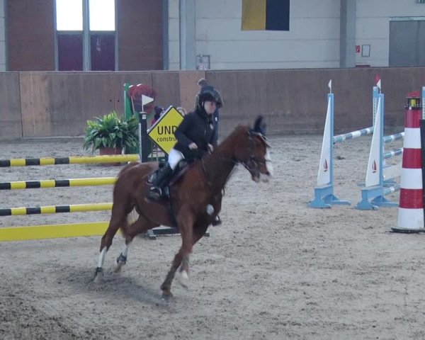 Reitturnier Prussendorf 2019