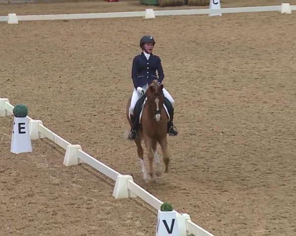 Reitturnier Kreuth 2019