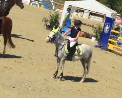 dressage horse Jumper (Welsh-Pony (Section B), 2007, from Jasper)