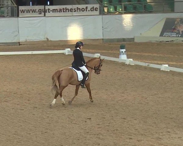 Reitturnier Kreuth 2019