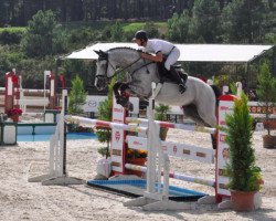 stallion Agahar (Bulgarian Warmblood, 2006, from A'Khan Z)