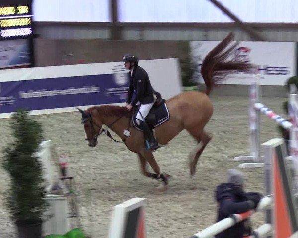 Nordic Jumping events 2019
