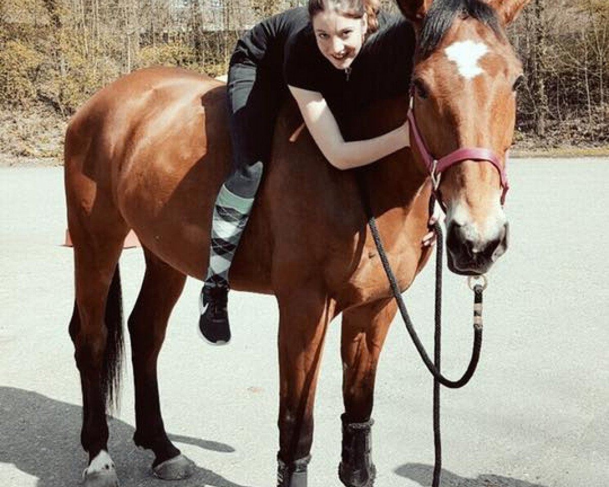Zuchtstute Dame de Coeur du Bois Pinchet (Belgium Sporthorse, 2009, von For Pleasure)