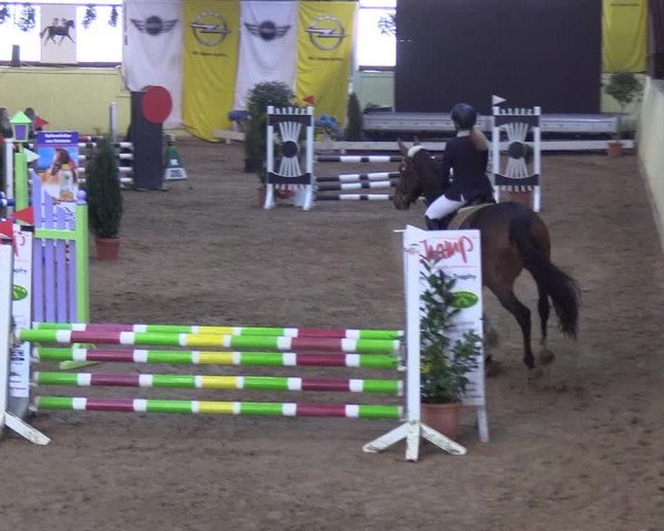 Reitturnier Looper Holz 2019