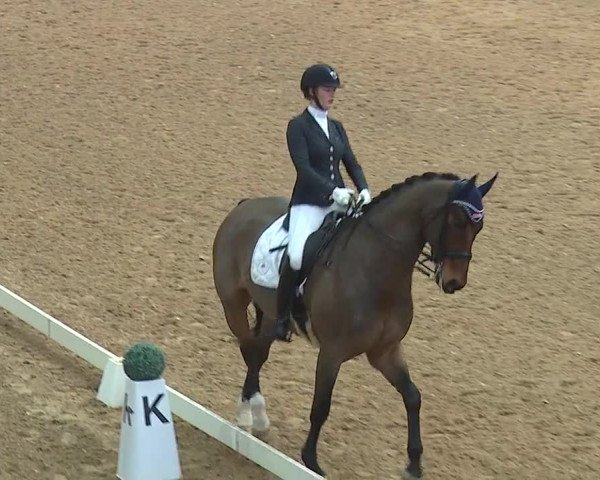 Reitturnier Kreuth 2019