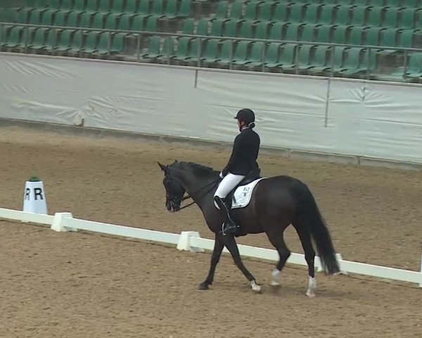 Reitturnier Kreuth 2019
