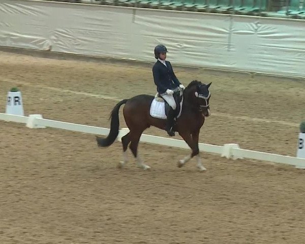 Reitturnier Kreuth 2019