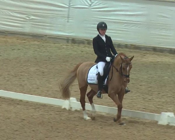 Reitturnier Kreuth 2019