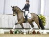 dressage horse Bel Dame (Westphalian, 2013, from Belissimo NRW)