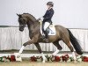 dressage horse Full House (Westphalian, 2013, from Fürstenball)