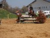 broodmare Sunrise in red (Nederlands Welsh Ridepony, 2010, from Orchard Limb-Lopper)