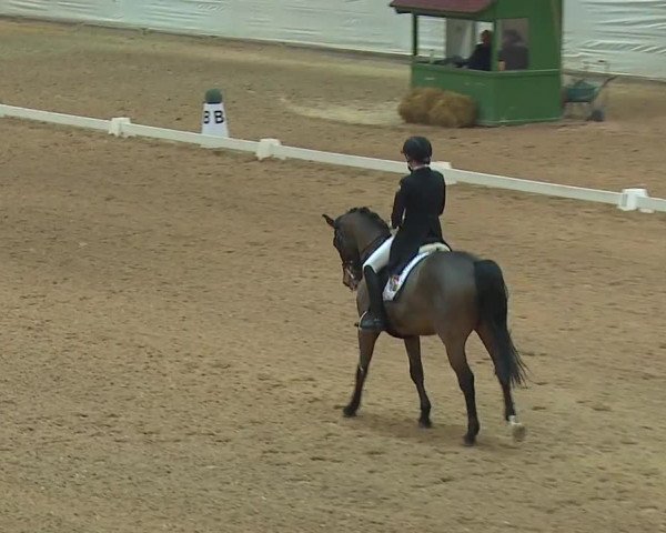 Reitturnier Kreuth 2019