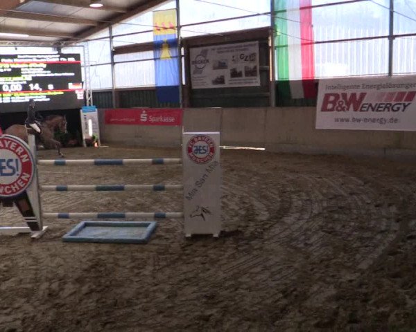 Reitturnier Velen 2019