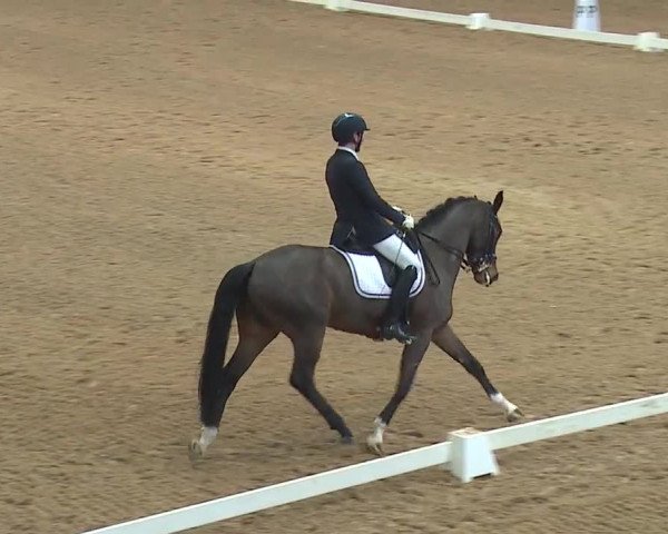 Reitturnier Kreuth 2019