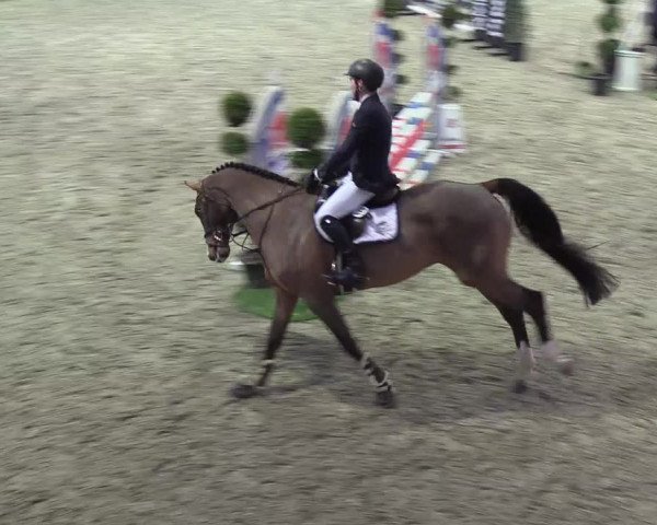 Nordic Jumping events 2019