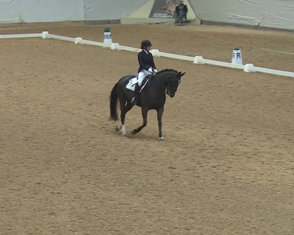 Reitturnier Kreuth 2019