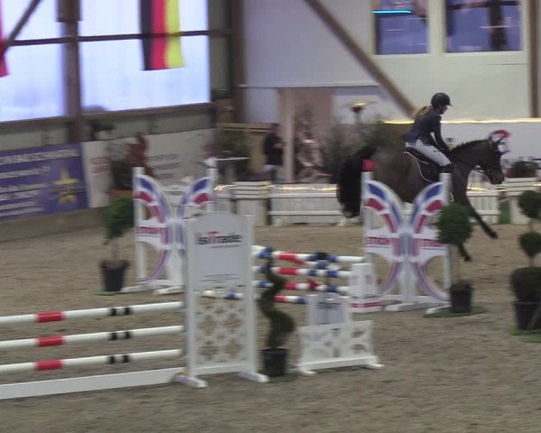Nordic Jumping events 2019