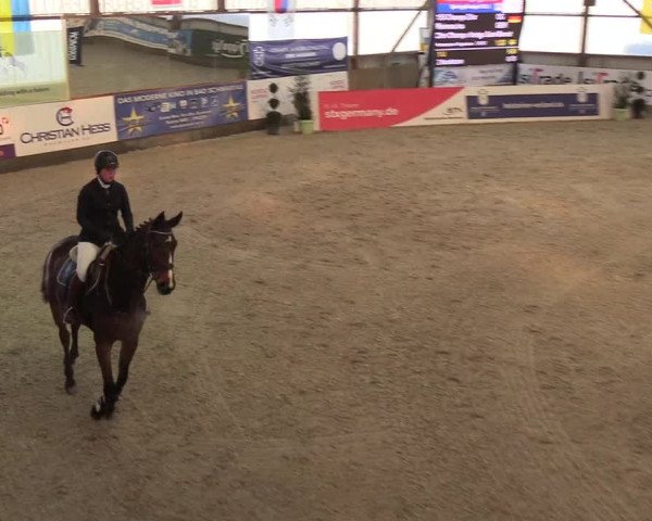 Nordic Jumping events 2019