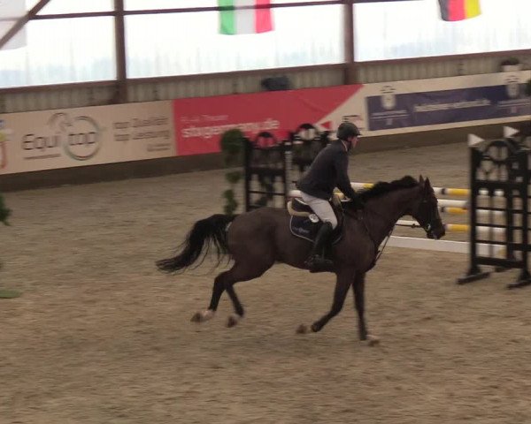Nordic Jumping events 2019