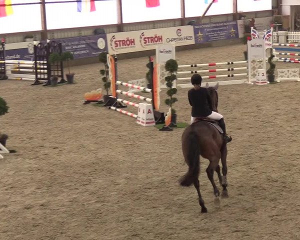 Nordic Jumping events 2019